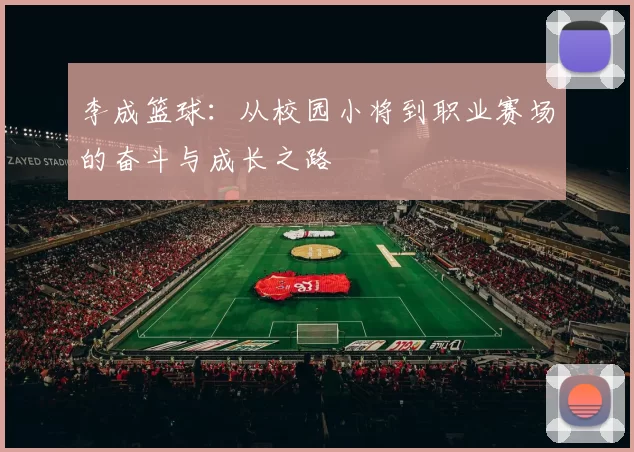 李成篮球：从校园小将到职业赛场的奋斗与成长之路
