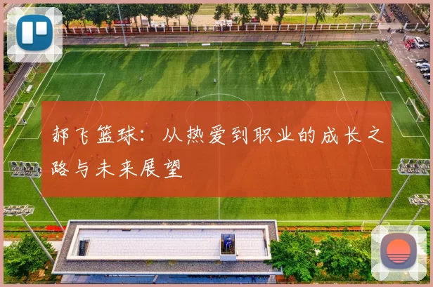 郝飞篮球：从热爱到职业的成长之路与未来展望