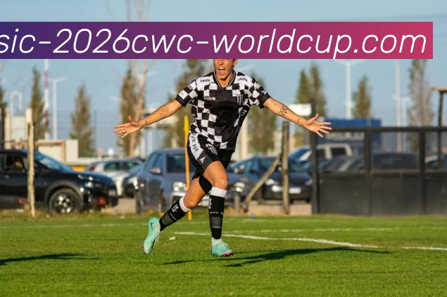 世界杯平台生态图