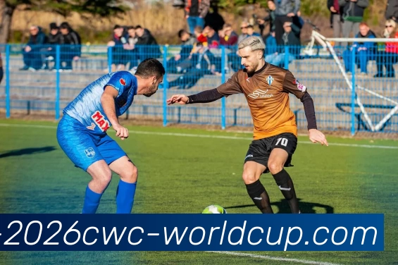 世界杯APP 封面图